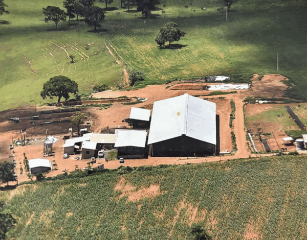 Captura de tela 2025-08-13 023207