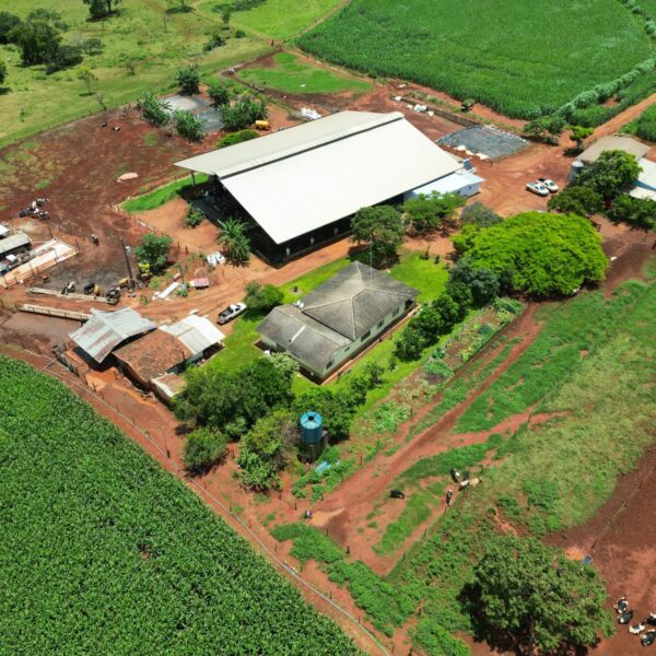 Imagem do WhatsApp de 2025-08-13 à(s) 14.35.18_c2c22057